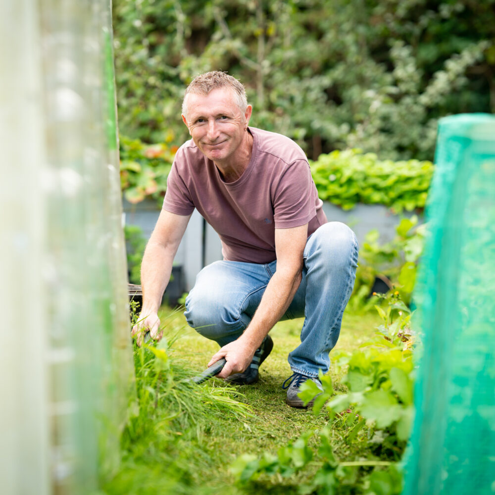 A man, smiling, and wearing blue jeans and faded purple t-shirt, kneels as he trims grass with gardening shears. he is outdoors in a garden setting.